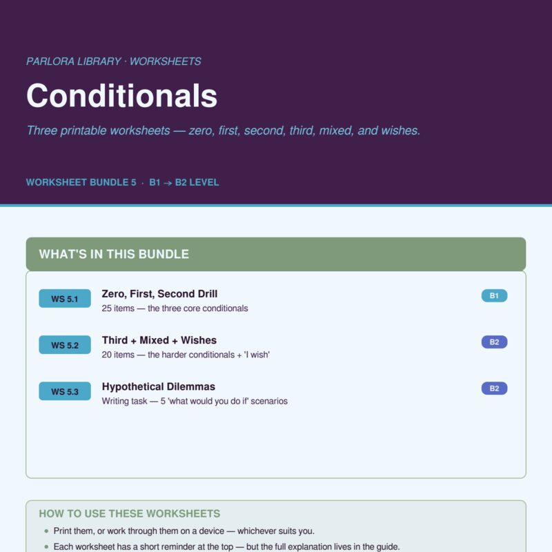 Conditionals Worksheets Bundle