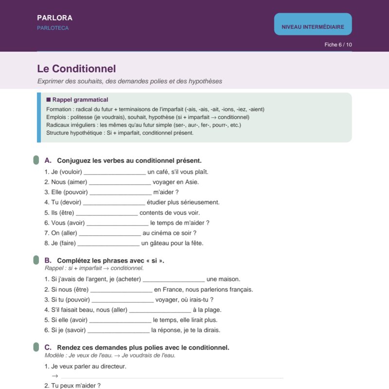 The Conditional Mood in French