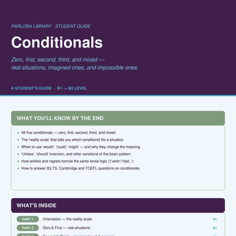 Conditionals: A Student's Guide (B1 → B2 Level)